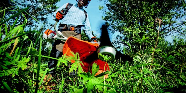 Zahrádkářská „koalice“ zvýhodňuje zahrádkáře před ostatními občany