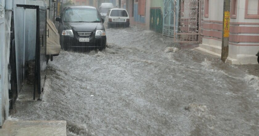 Poradna: Léto bezpečně. Tipy, jak o ochránit své zdraví i majetek
