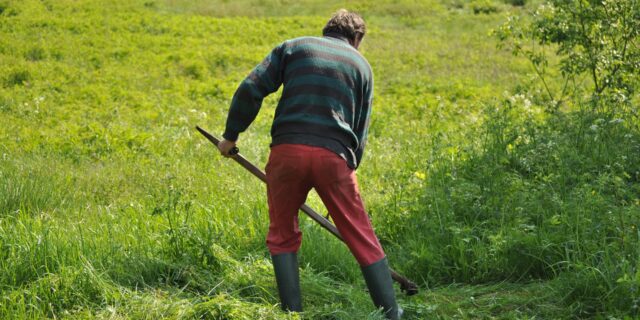 Letních brigád je letos méně. Náročná práce studenty neláká