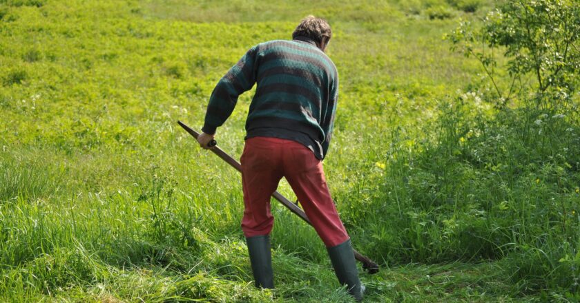 Letních brigád je letos méně. Náročná práce studenty neláká