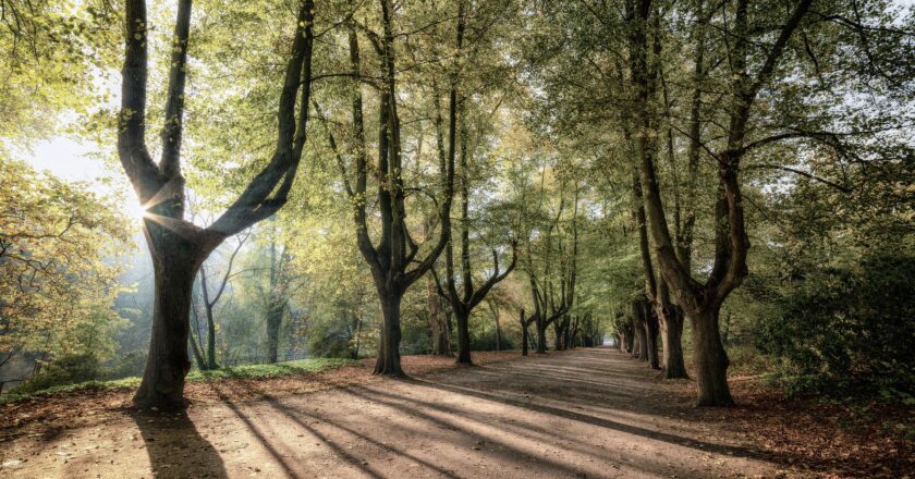 Vláda nabídne krajům letos šest miliard na silnice nižších tříd