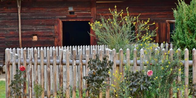 V létě se do zvelebování domácností a zahrad pustí padesát tři procent Čechů