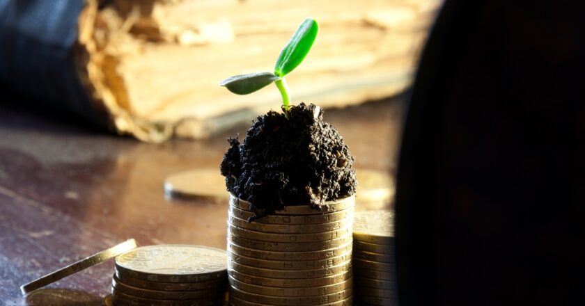 Švehla: Jak přežít inflaci v lepší náladě