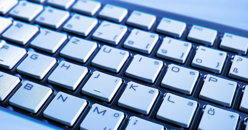 Evropa je celosvětovým lídrem ve využívání služeb e-governmentu