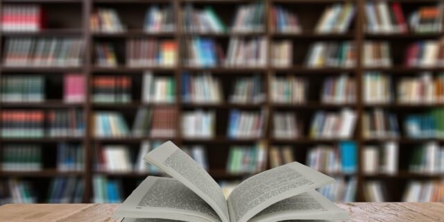 Švehla: Příliš podšitá liška