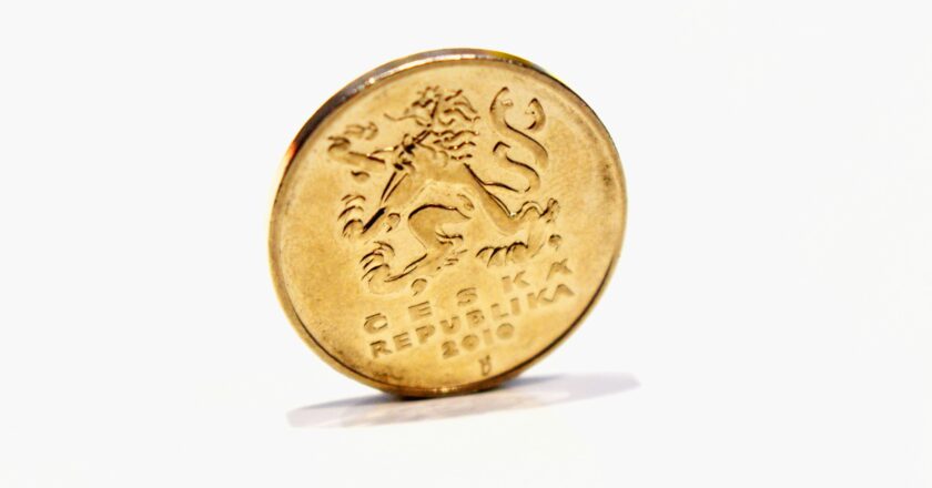 Koruna podle ekonomů za dvacet pět let obstála, čekají její posilování