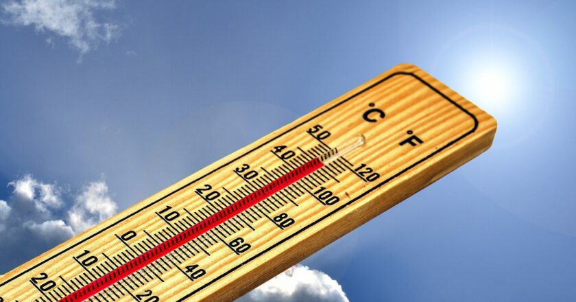 Schmarcz: Budeme topit Pánubohu do oken? Zelený úděl čím dál více prokazuje, jak je zvrácený a že přináší jen bídu a nemravnost