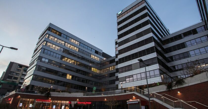 SAP Services rozšiřuje záběr, prostor dostávají experti z oblasti práva, ochrany dat či digitalizace firemních procesů