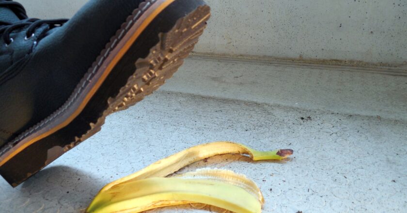 Klienty pojišťovny napadl makak, rejnok i servírovací vozík