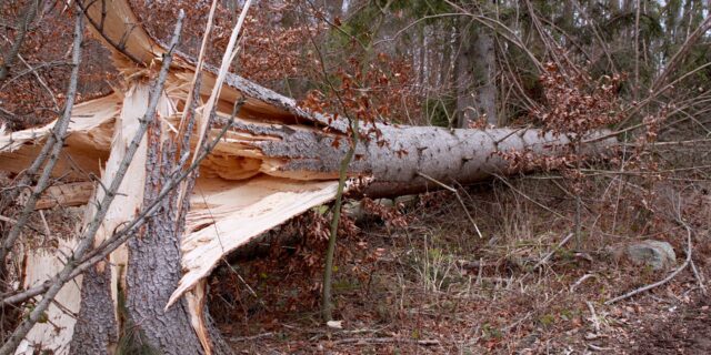 Pojišťovny: Vítr způsobil klientům stovky škod za miliony korun