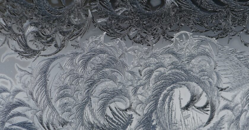 Generálním ředitelem společnosti MOSER se stal Pavel Mencl