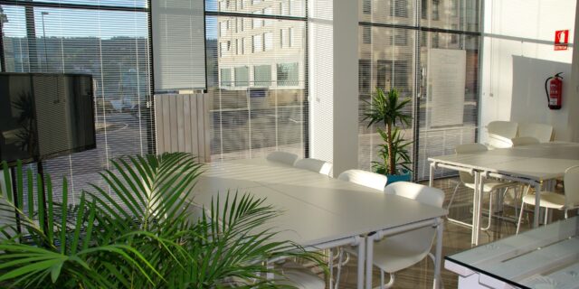 Celkový objem pronájmů na trhu v roce 2020 klesl o dvacet čtyři procent