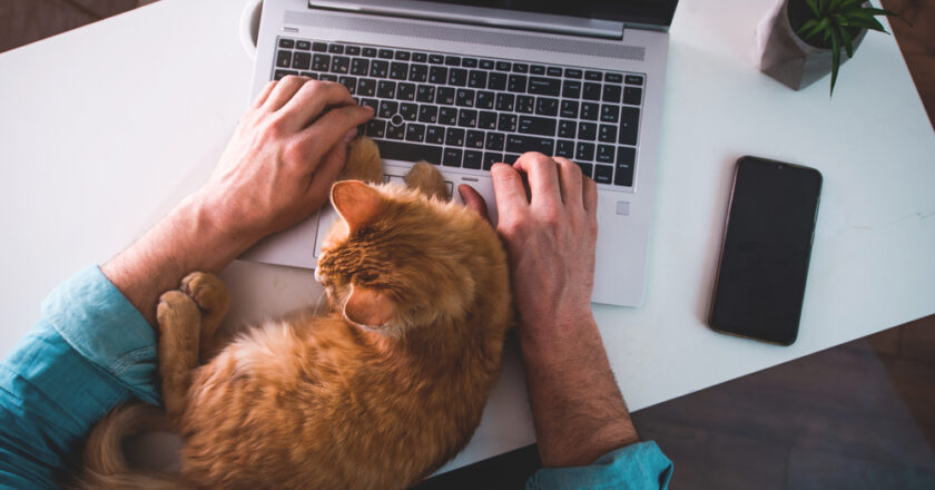 Blíží se automatické zřízení datových schránek pro OSVČ, spolky, nadace nebo sdružení