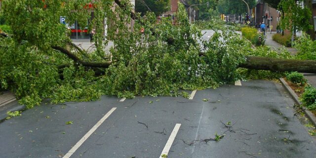 Daňhel VŠE: Udeřilo tornádo a vidíme, jak je Vláda odtržena od ekonomické reality