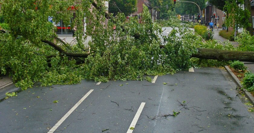 Daňhel VŠE: Udeřilo tornádo a vidíme, jak je Vláda odtržena od ekonomické reality