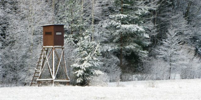 Recenze novely zákona o myslivosti