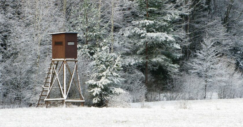 Recenze novely zákona o myslivosti