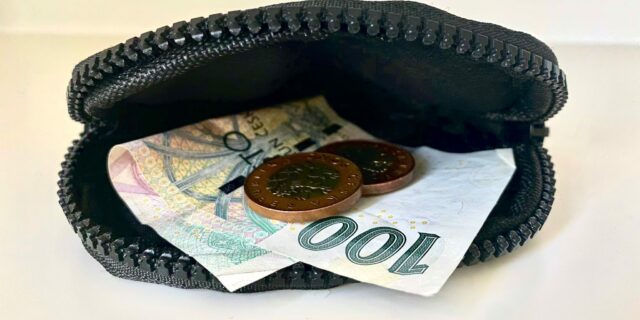Průzkum: Pětině Čechů na konci měsíce chybí peníze
