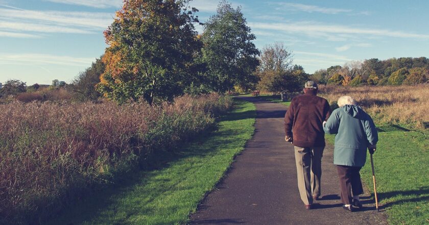 Recenze návrhu novely zákona o důchodovém pojištění (důchodová reforma)