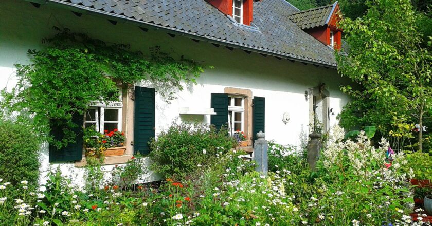 Průzkum Buřinky: Na novostavbu Čechům nezbývají peníze, raději rekonstruují starší dům