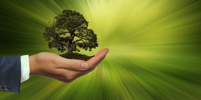 Cirkulární vs. energetická ekonomika