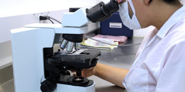 Na úroveň české vědy má negativní vliv nezájem o terciární vzdělávání i malé zastoupení žen