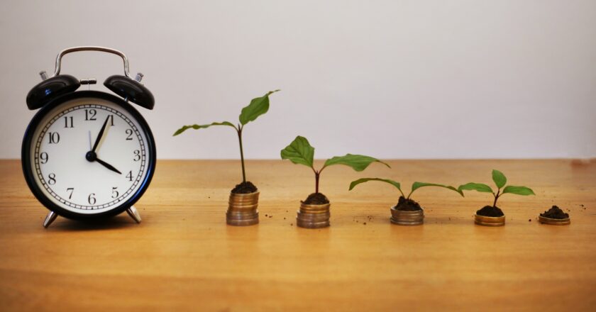 Švehla: Evropa se probouzí?