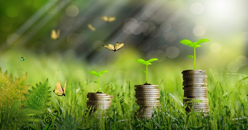 Investoři tlačí na evropské banky v oblasti udržitelnosti