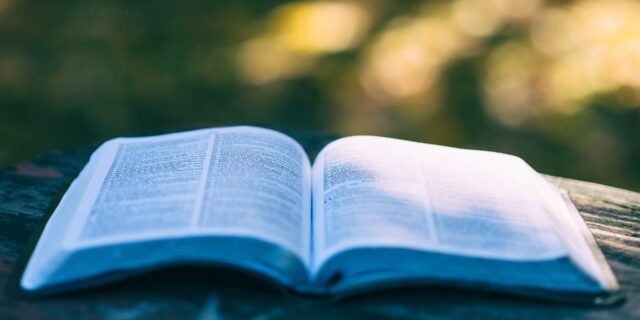 Chystá se 4. díl Dějin pojišťovnictví, zmapuje polistopadový vývoj