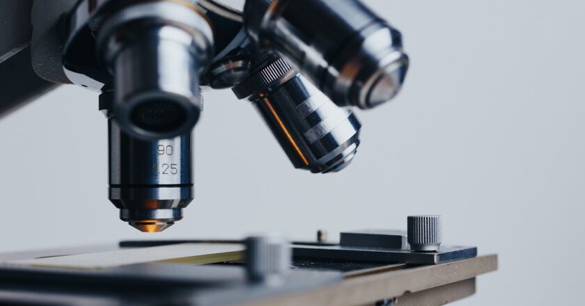 Schmarcz: Dotační porno. Místo aby stát podpořil výzkum a inovace, platí z grantů své nepřátele, kteří chtějí zastavit ekonomický růst