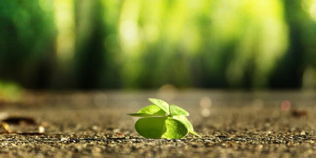 Schmarcz: Důvěra Čechů v EU je na bodě mrazu. Otevírá se šance zneškodnit hrozby nelegální migrace a Zeleného údělu. Využijeme ji?