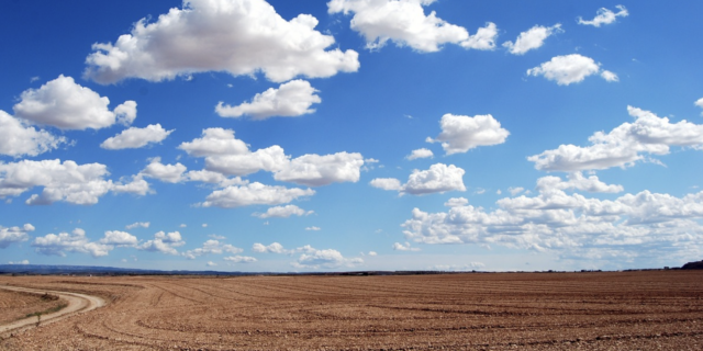 Komentář: Ceny v zemědělství klesají již čtvrtý měsíc