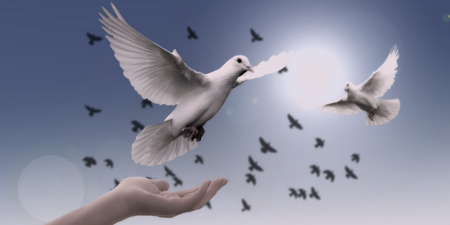 CETA: Česká republika se opět stala svobodnější zemí