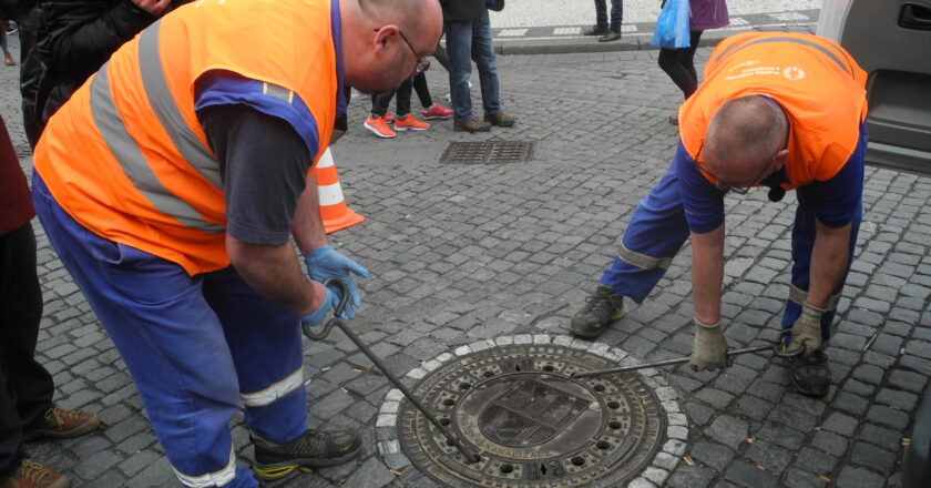 PVK hlásí úspěšné tažení deratizátorů proti „pražským“ potkanům 