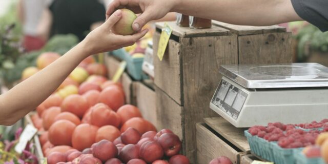 Komentář k vývoji indikátorů důvěry