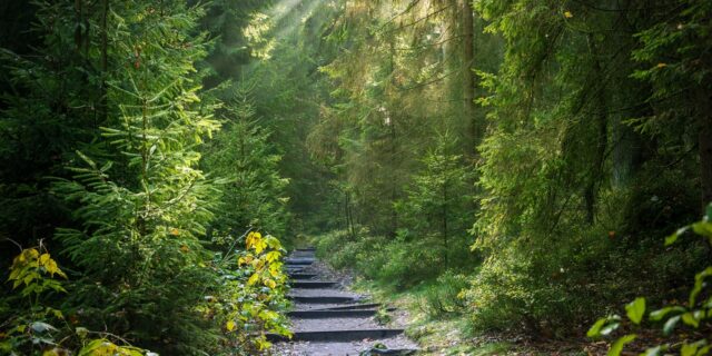 Recenze zákona o ochraně přírody a krajiny (Národní park Křivoklátsko) 