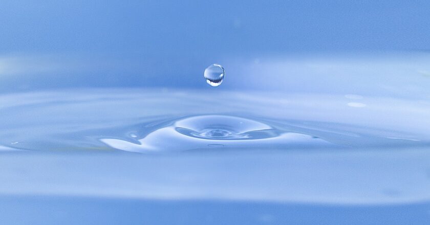 Recyklohraní ocenilo žáky pražských škol za projekty zaměřené na snížení plýtvání vodou