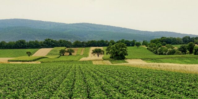Průmyslová deflace pokračuje a pokračovat zřejmě i bude