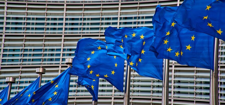 Schmarcz: Žádné zdanění bez zastoupení! Evropská komise se chová jako chamtivý král, který sdírá své leníky